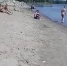 В Вольске разберутся с депутатом, захватившим берег Волги - Wolsk.Ru