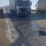 На трассе под Вольском автовоз задавил косулю - Wolsk.Ru