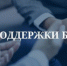 Молодым предпринимателям и социальным предприятиям доступна грантовая поддержка на создание и развитие бизнеса - Вольский район