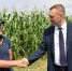 В Саратовской области собрано уже 3 млн тонн зерна - Вольский район