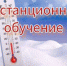 Занятия в 1-6 классах 11 января пройдут дистанционно - Вольская жизнь