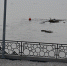 Уровень волжской воды у Вольска продолжает подниматься - Вольская жизнь