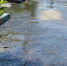 Поселок Новоселы: у «Облводоресурса» лишняя вода? - Вольская жизнь