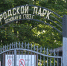 Прогулки по горпарку Вольска проходят на природе, где в ладу сердце и разум - Вольская жизнь