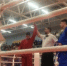 Воспитанники спортшколы Вольска взошли на пьедестал Первенства мира по универсальному бою! - Вольский район