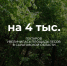 Итоги 2024 года в цифрах - Вольская жизнь