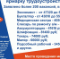 В Вольском муниципальном районе пройдет ярмарка трудоустройства - Вольский район