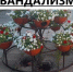 Еще один акт вандализма – хулиганы разбили цветочные горшки на Революционной - Вольская жизнь