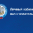 Исчисленный в декларации НДФЛ необходимо уплатить не позднее 15 июля - Вольская жизнь