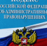 Саратовская природоохранная прокуратура разъясняет: каких животных теперь нельзя держать дома - Вольская жизнь
