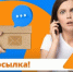 Будьте бдительны: мошенники в праздники не отдыхают! - Вольская жизнь