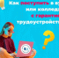 Вольские выпускники выбирают целевое обучение с гарантией трудоустройства - Вольская жизнь