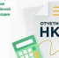 НКО напоминают о необходимости предоставить отчетность за 2025 год в Минюст - Вольская жизнь
