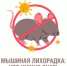 Осторожно: мышиная лихорадка! Что нужно знать, чтобы защитить себя и близких - Вольский район