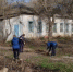 В Покровке призывают убрать придомовые территории - Вольская жизнь