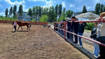 Вольские школьники послушали Баха в лютеранской кирхе и покатались на лошадях, посетив Маркс